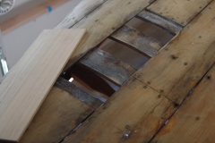 Bottom Plank