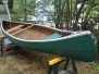 Chestnut Prospector (Ranger)